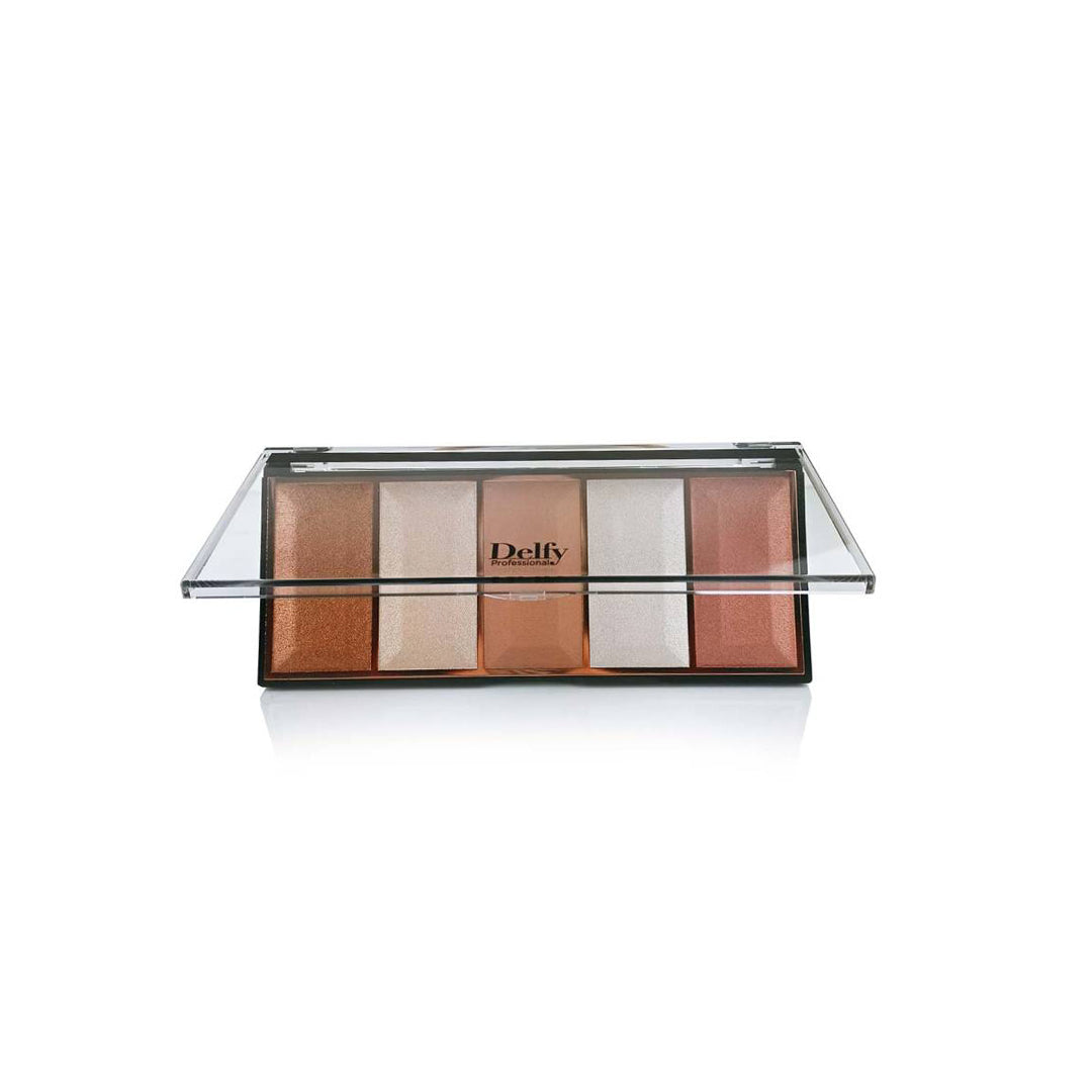 Delfy Rich V Highlighter